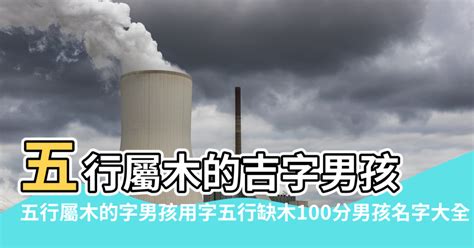 屬木的名字|寶寶五行缺木如何取名？精選300個屬木的名字，總有一個適合寶。